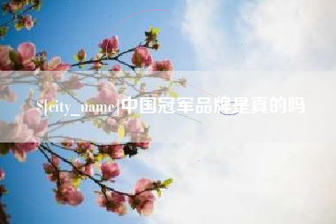 当阳中国冠军品牌是真的吗