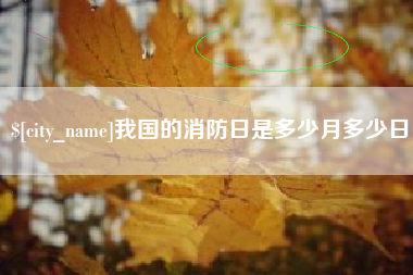当阳我国的消防日是多少月多少日