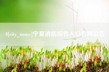 当阳宁夏消防报名入口官网公告