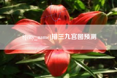 当阳排三九宫图预测