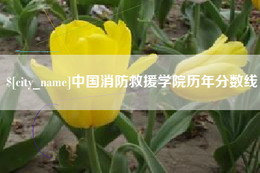 当阳中国消防救援学院历年分数线