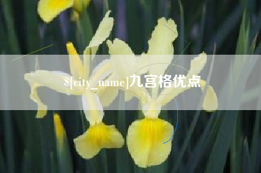 当阳九宫格优点