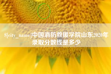 当阳中国消防救援学院山东2020年录取分数线是多少