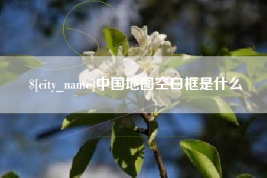 当阳中国地图空白框是什么