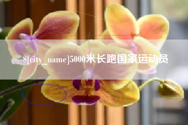 当阳5000米长跑国家运动员
