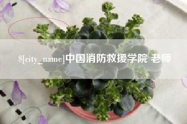 当阳中国消防救援学院 老师