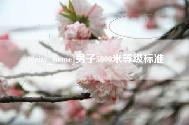 当阳男子5000米等级标准