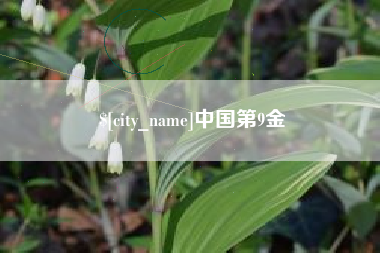 当阳中国第9金