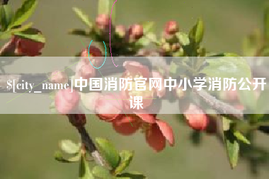 当阳中国消防官网中小学消防公开课