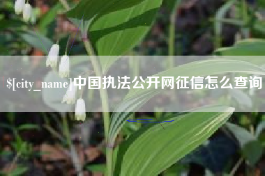 当阳中国执法公开网征信怎么查询