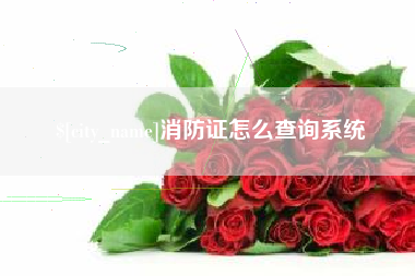 当阳消防证怎么查询系统