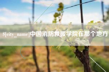 当阳中国消防救援学院在那个地方
