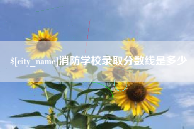 当阳消防学校录取分数线是多少