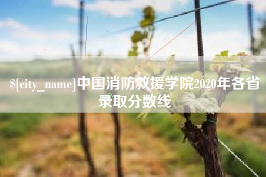 当阳中国消防救援学院2020年各省录取分数线