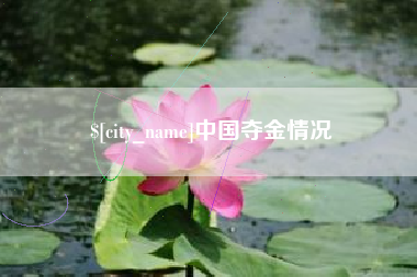 当阳中国夺金情况