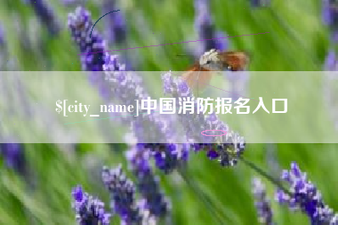 当阳中国消防报名入口
