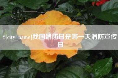 当阳我国消防日是哪一天消防宣传日