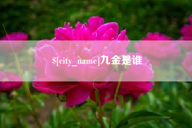 当阳九金是谁
