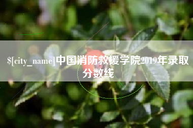 当阳中国消防救援学院2019年录取分数线
