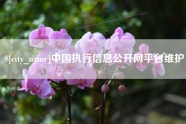 当阳中国执行信息公开网平台维护
