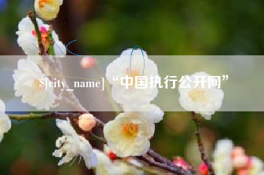当阳“中国执行公开网”