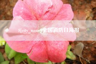 当阳全国消防日海报