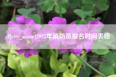 当阳2025年消防员报名时间表格