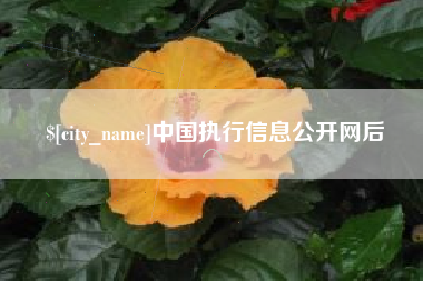 当阳中国执行信息公开网后