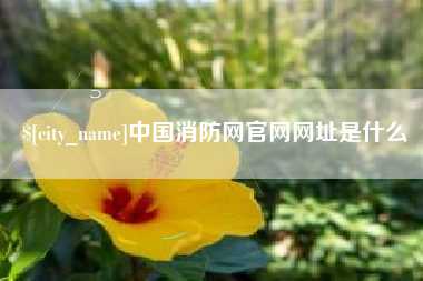 当阳中国消防网官网网址是什么