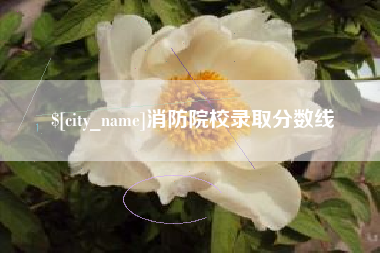 当阳消防院校录取分数线