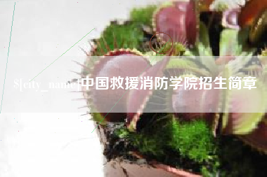 当阳中国救援消防学院招生简章