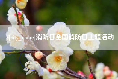 当阳消防日全国消防日主题活动