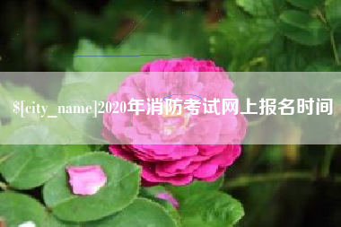 当阳2020年消防考试网上报名时间
