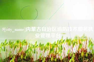 当阳内蒙古自治区消防技术服务执业管理平台