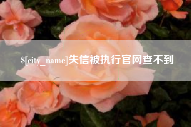 当阳失信被执行官网查不到