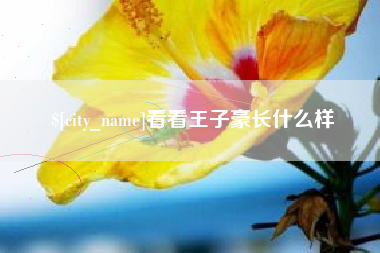 当阳看看王子豪长什么样