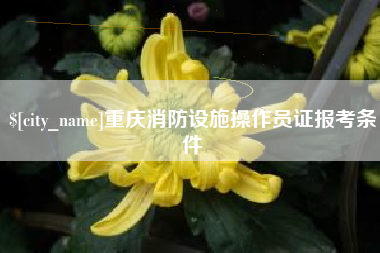 当阳重庆消防设施操作员证报考条件