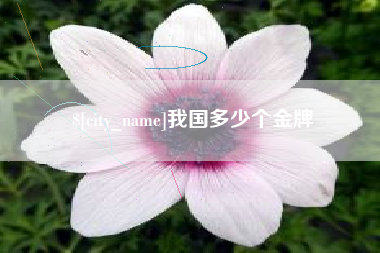 当阳我国多少个金牌