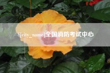 当阳全国消防考试中心