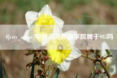 当阳中国消防救援学院属于985吗