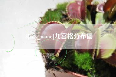 当阳九宫格分布图