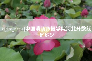 当阳中国消防救援学院河北分数线是多少