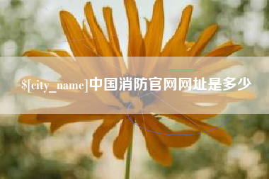 当阳中国消防官网网址是多少