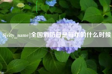 当阳全国消防日是每年的什么时候