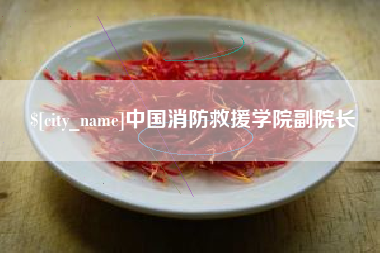 当阳中国消防救援学院副院长