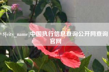 当阳中国执行信息查询公开网查询官网