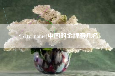当阳中国的金牌有几名