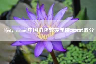 当阳中国消防救援学院2020录取分