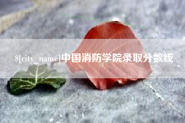 当阳中国消防学院录取分数线