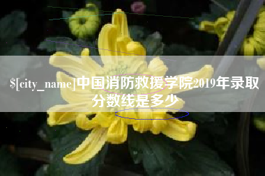 当阳中国消防救援学院2019年录取分数线是多少